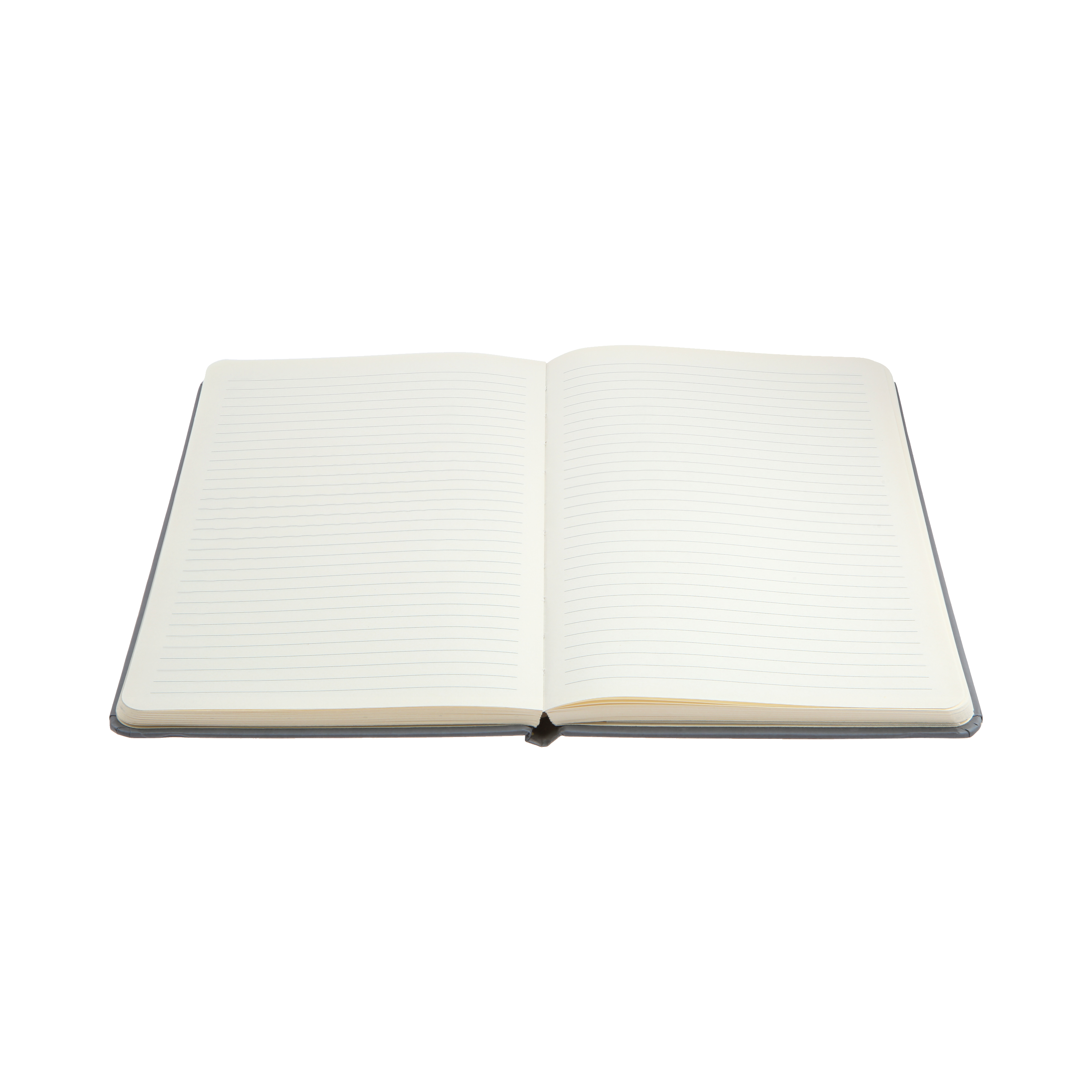 Daisy - A5 Slim Ruled Notebook (CS20)