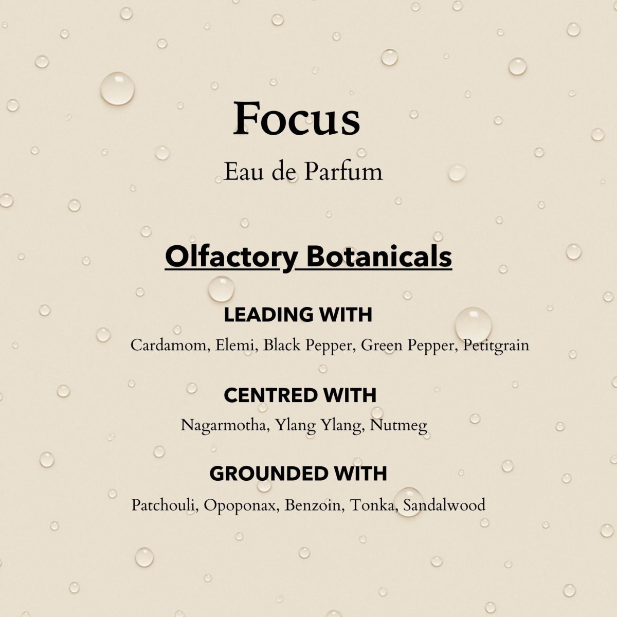 Focus Eau de Parfum | Sharpen Focus & Awaken the Senses 100ml
