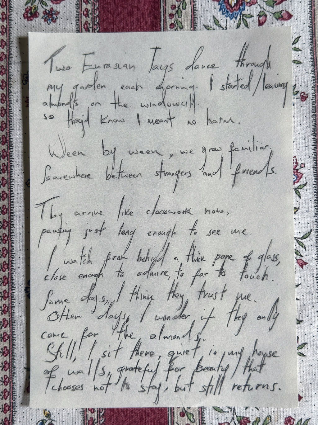 Eurasian Jays Poem