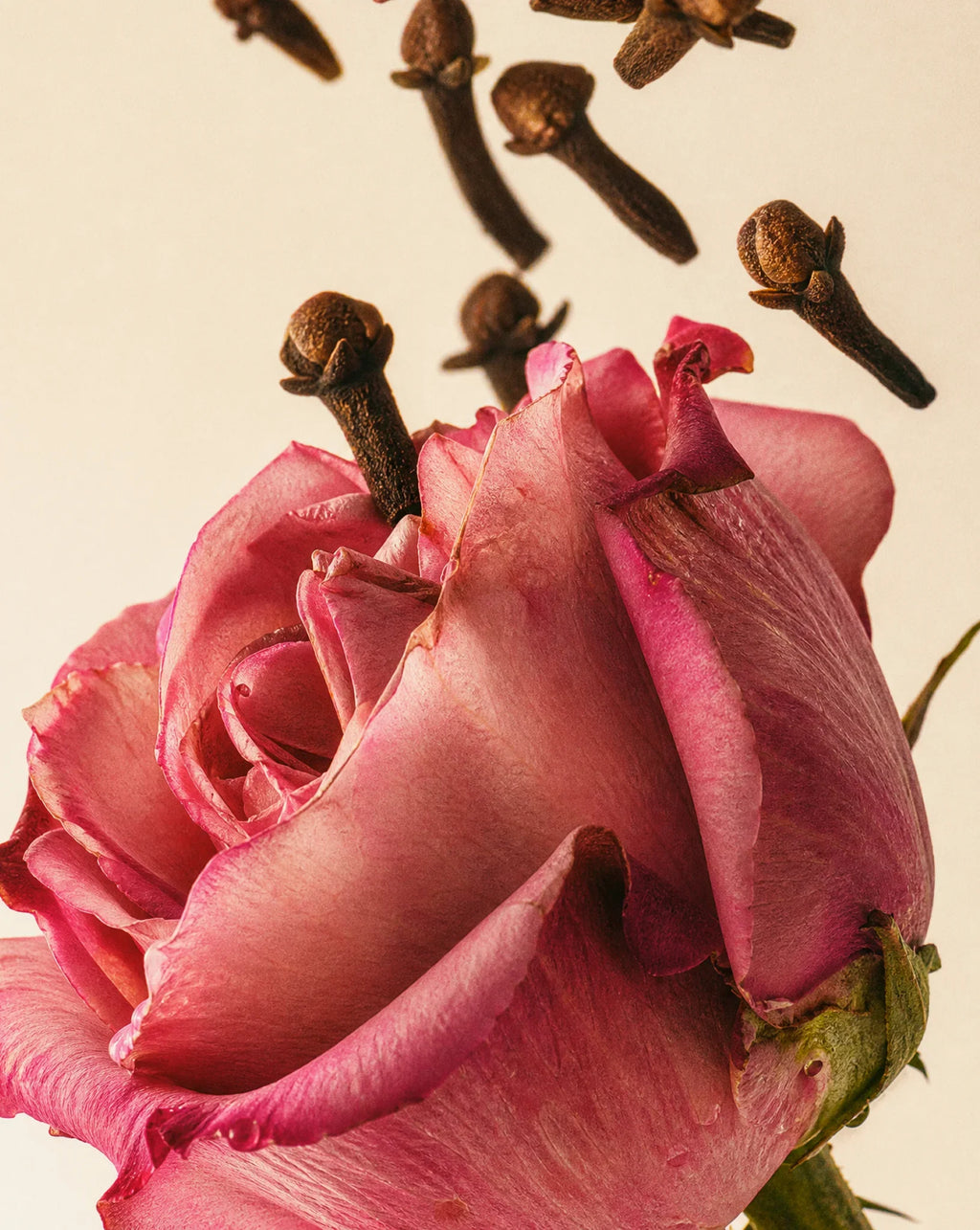Medina Rose 100ml Reed Diffuser
